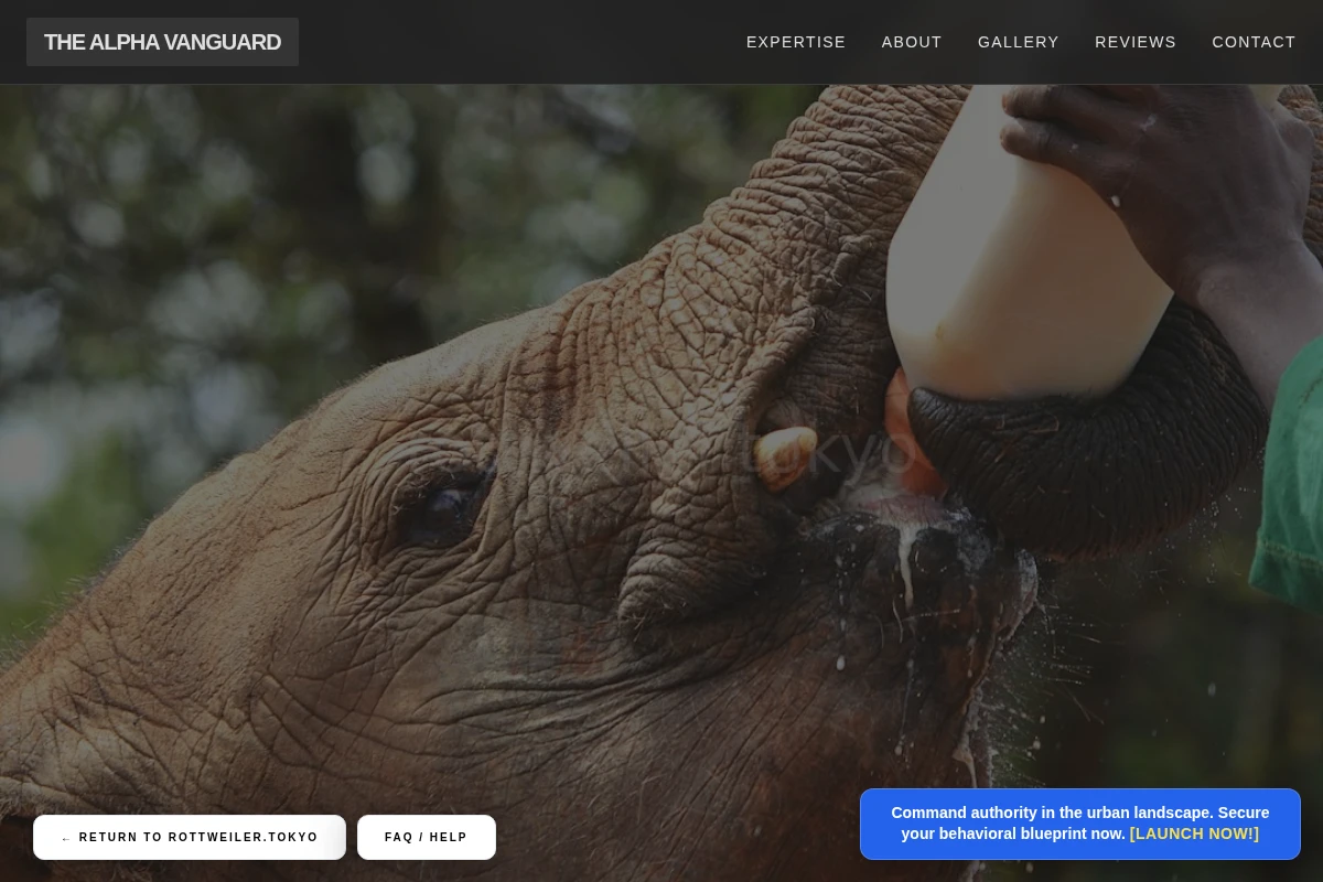 Prime Animal Care