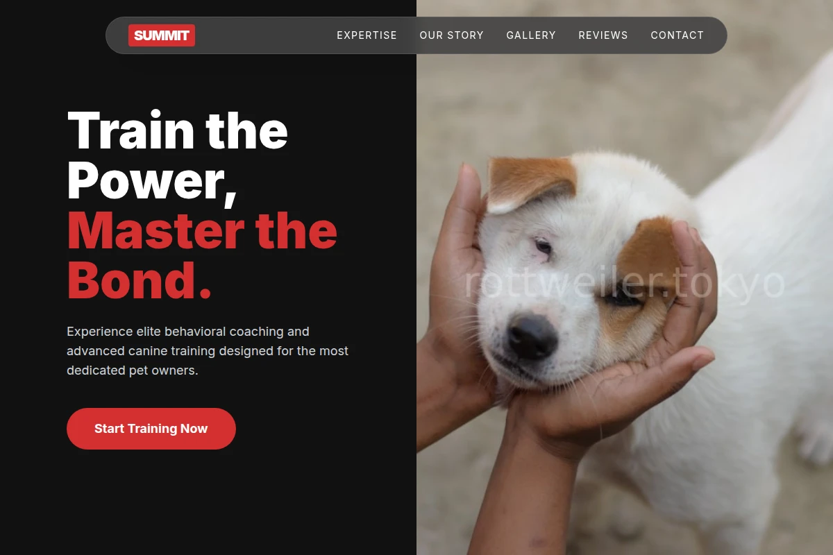 Summit Animal Care