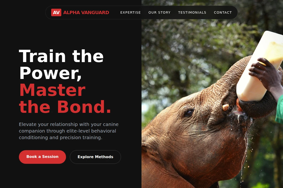 Socialite Animal Care