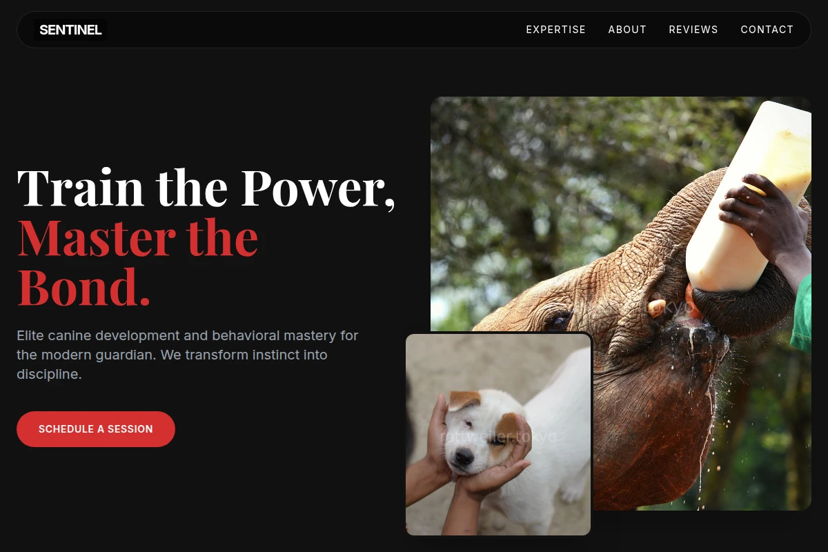 Sentinel Animal Care