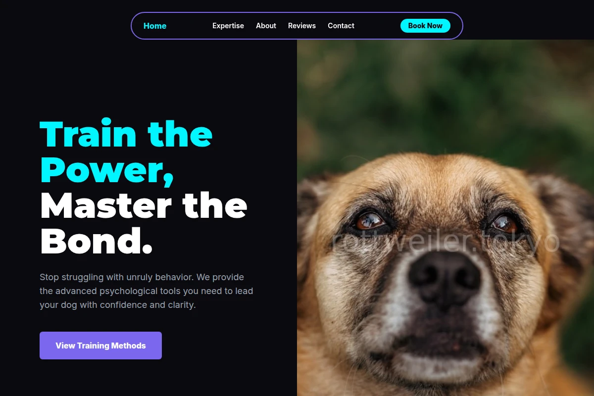 Anchor Dog Behavior