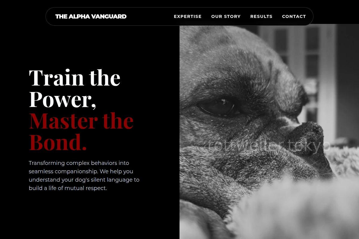 Direct Dog Behavior