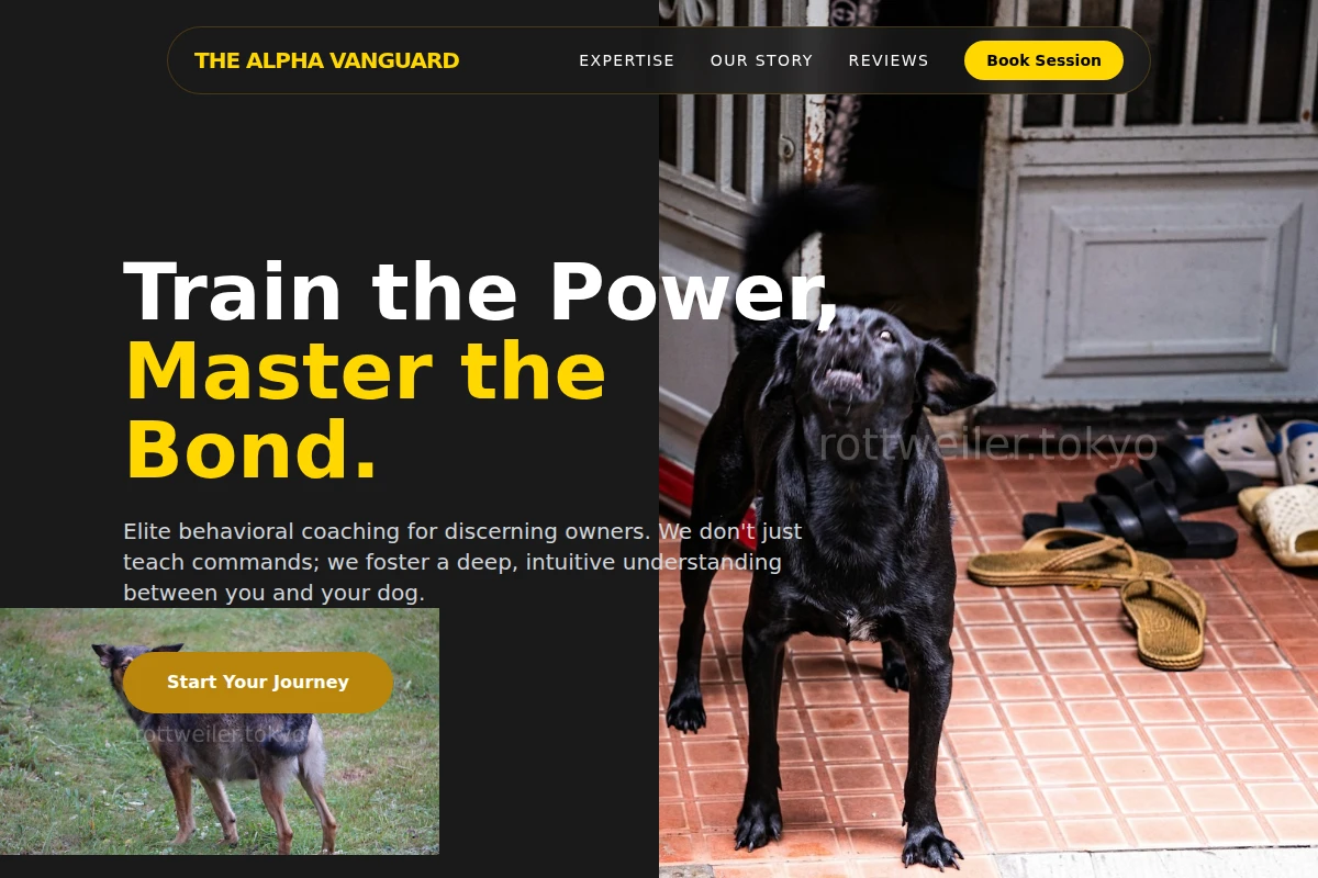 Compact Dog Behavior