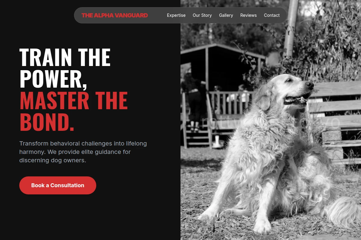 Steady Dog Behavior