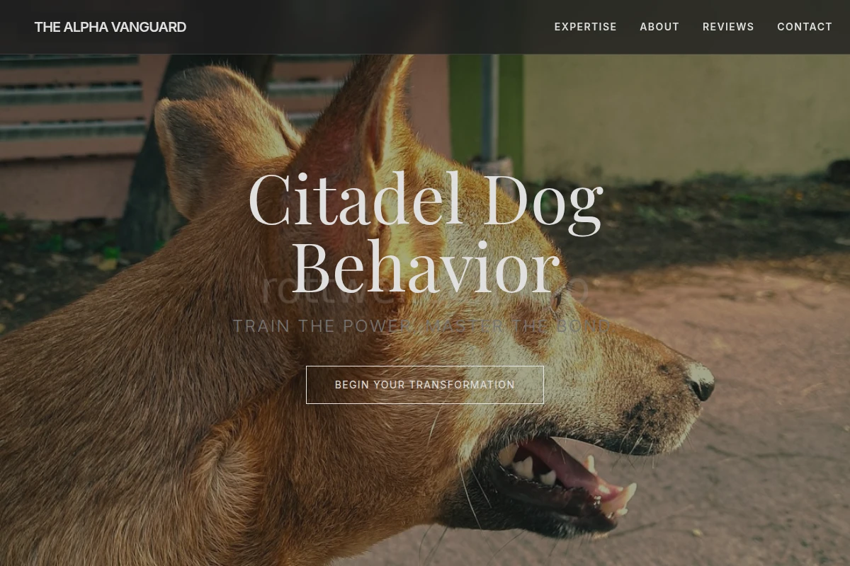 Citadel Dog Behavior