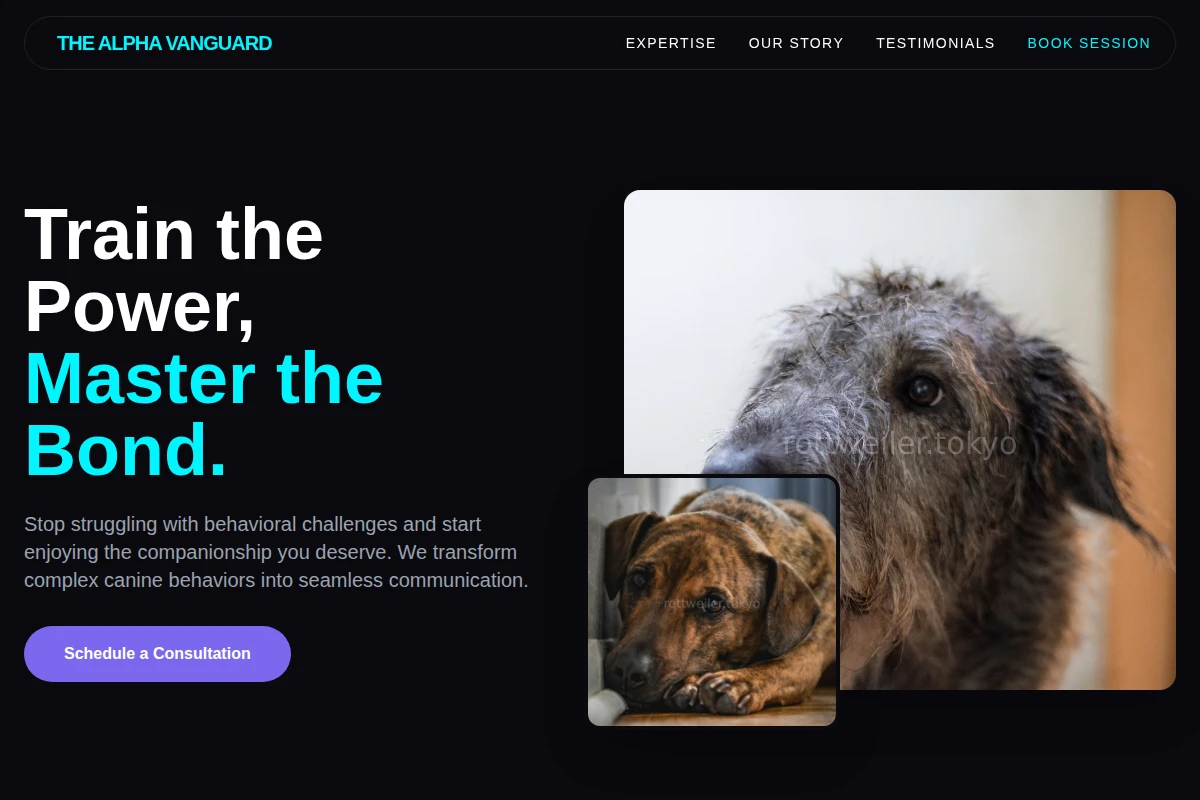 Structure Dog Behavior