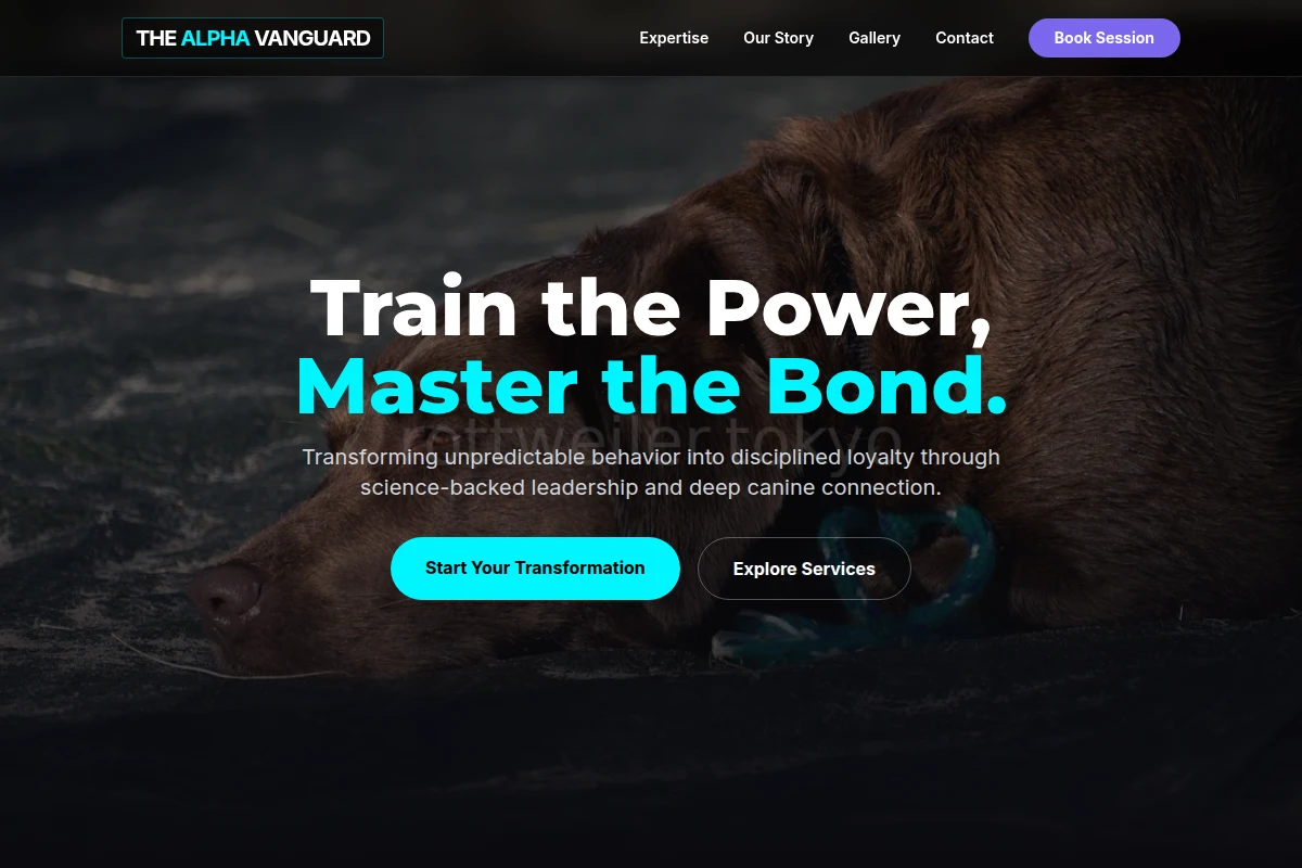 Focus Dog Behavior