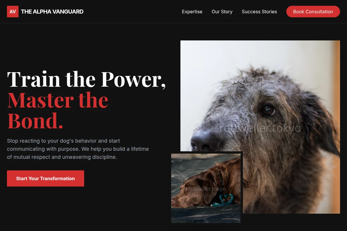 dog-behavior