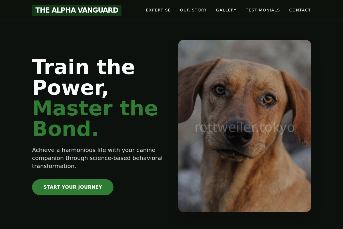 Socialite Dog Behavior