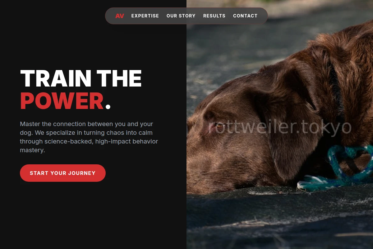 Alpha Dog Behavior
