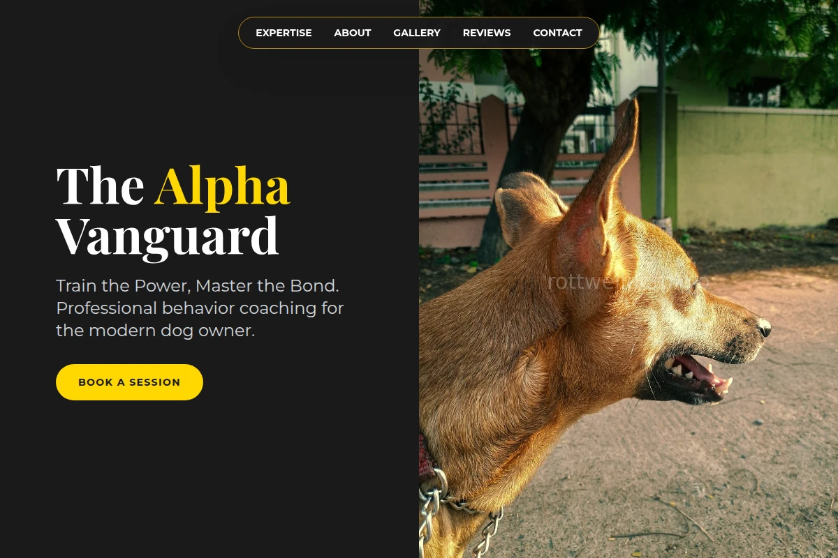 Bond Dog Behavior