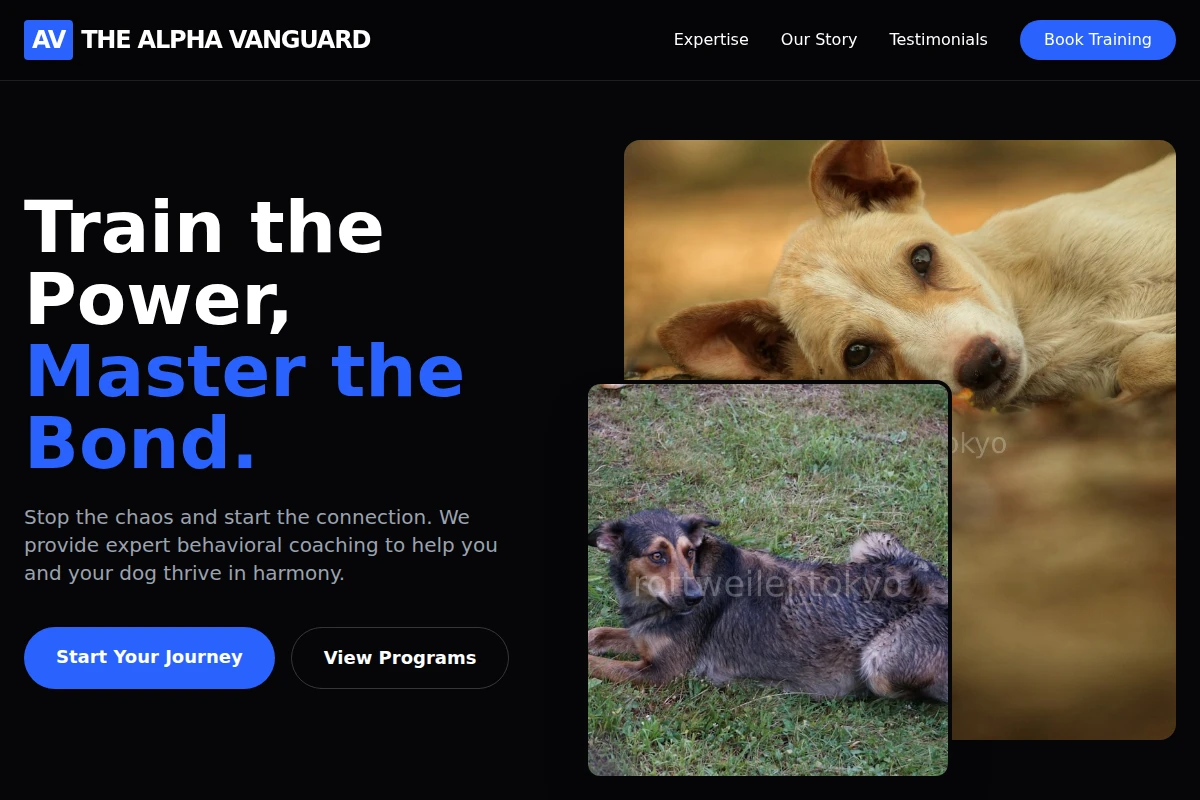 Alpha Dog Behavior