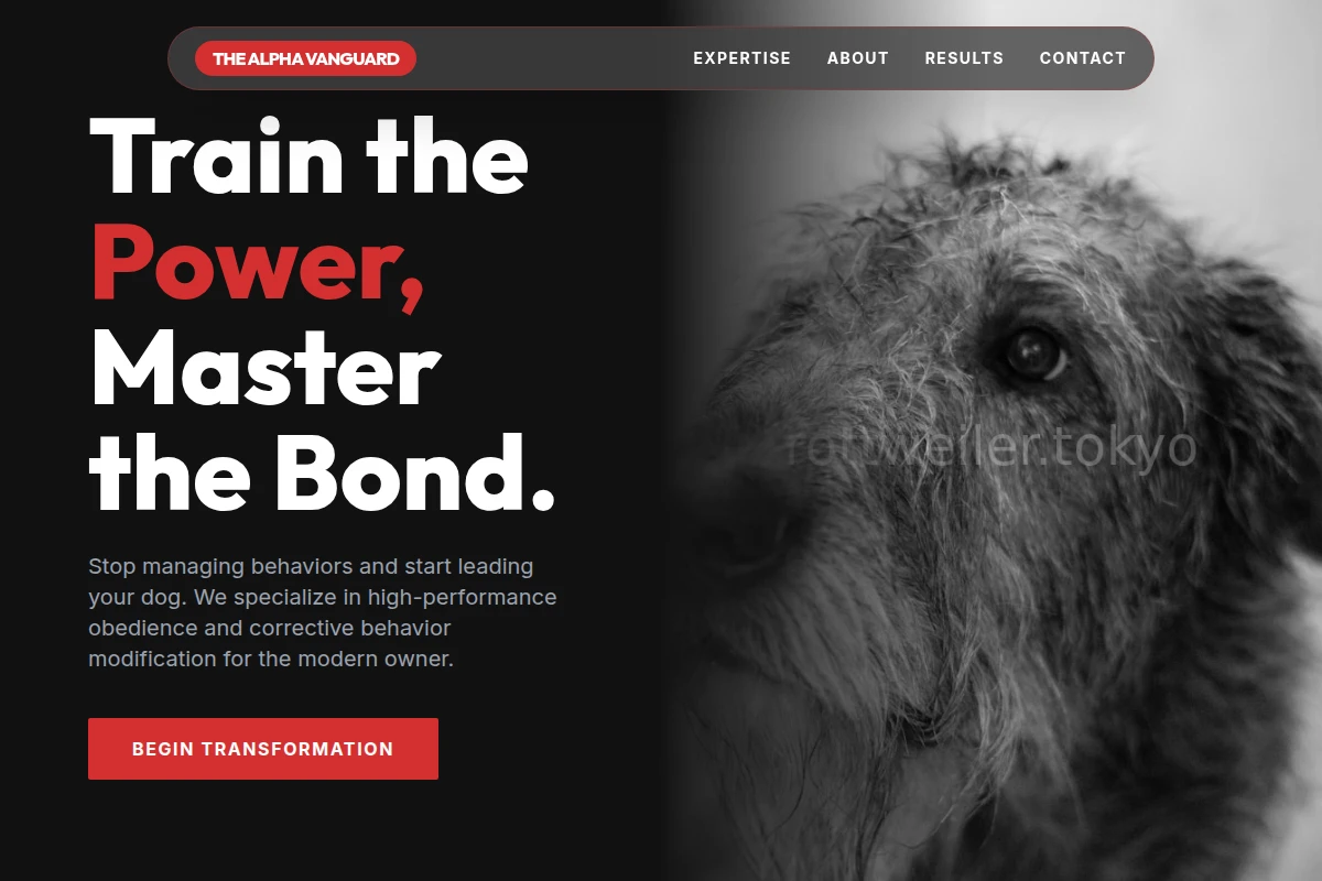 Command Dog Behavior