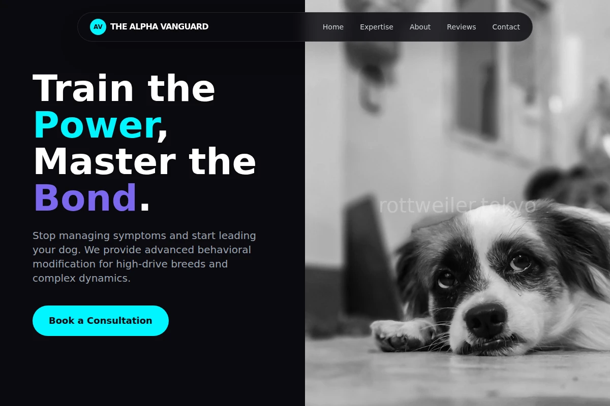 Bold Dog Behavior