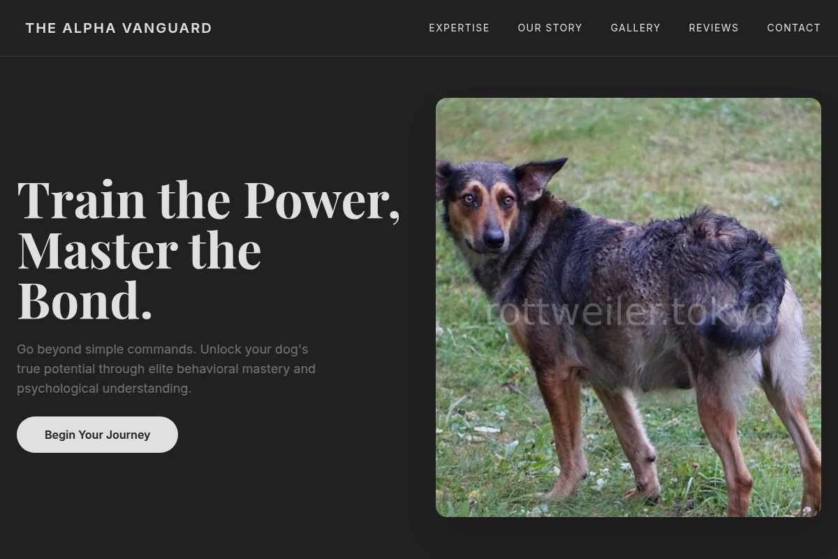 Fluent Dog Behavior