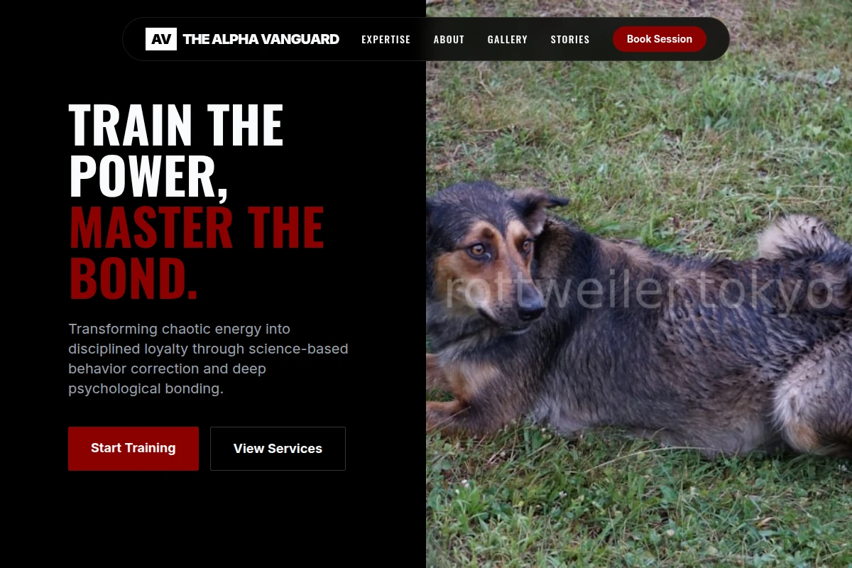 Firm Dog Behavior