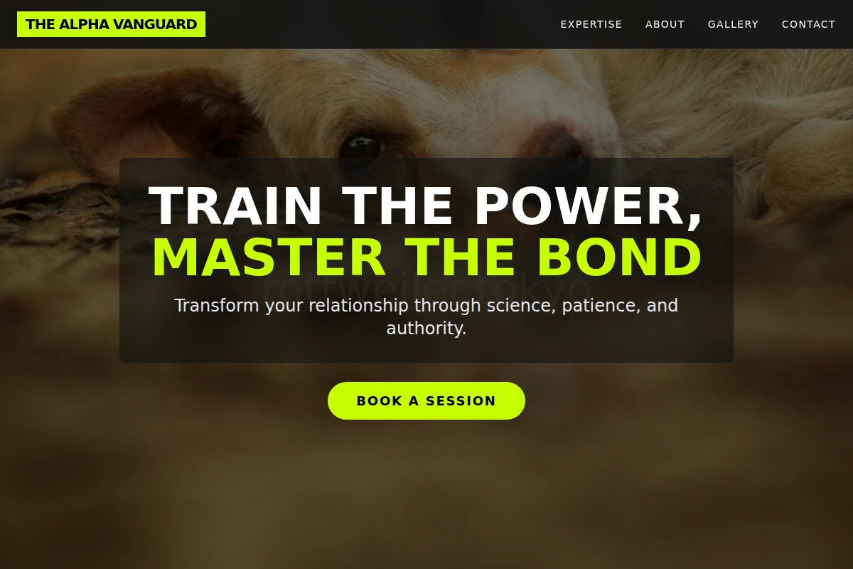 Compact Dog Behavior