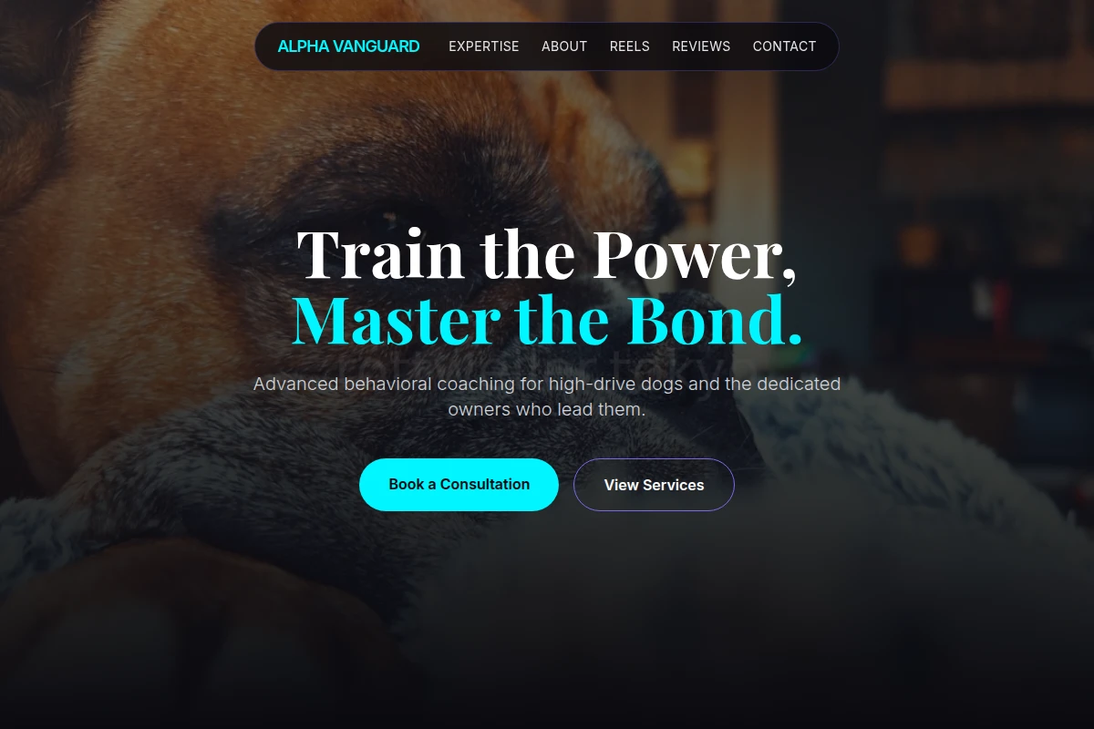 Protector Dog Behavior