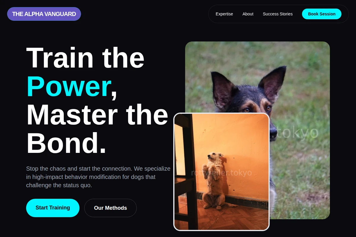 Stability Dog Behavior