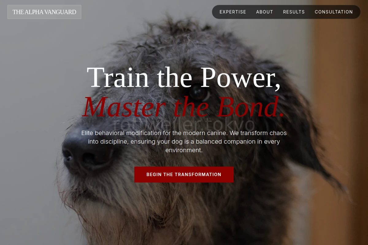 Disciplined Dog Behavior
