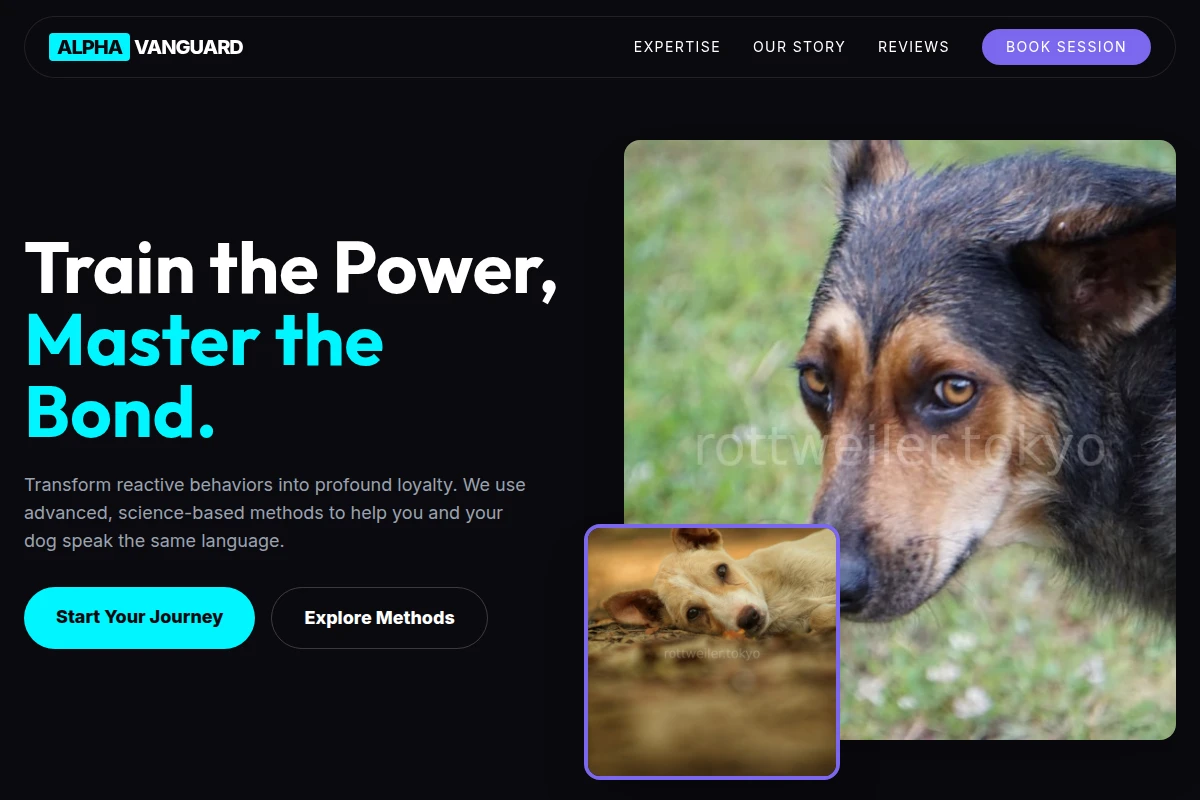 Bold Dog Behavior