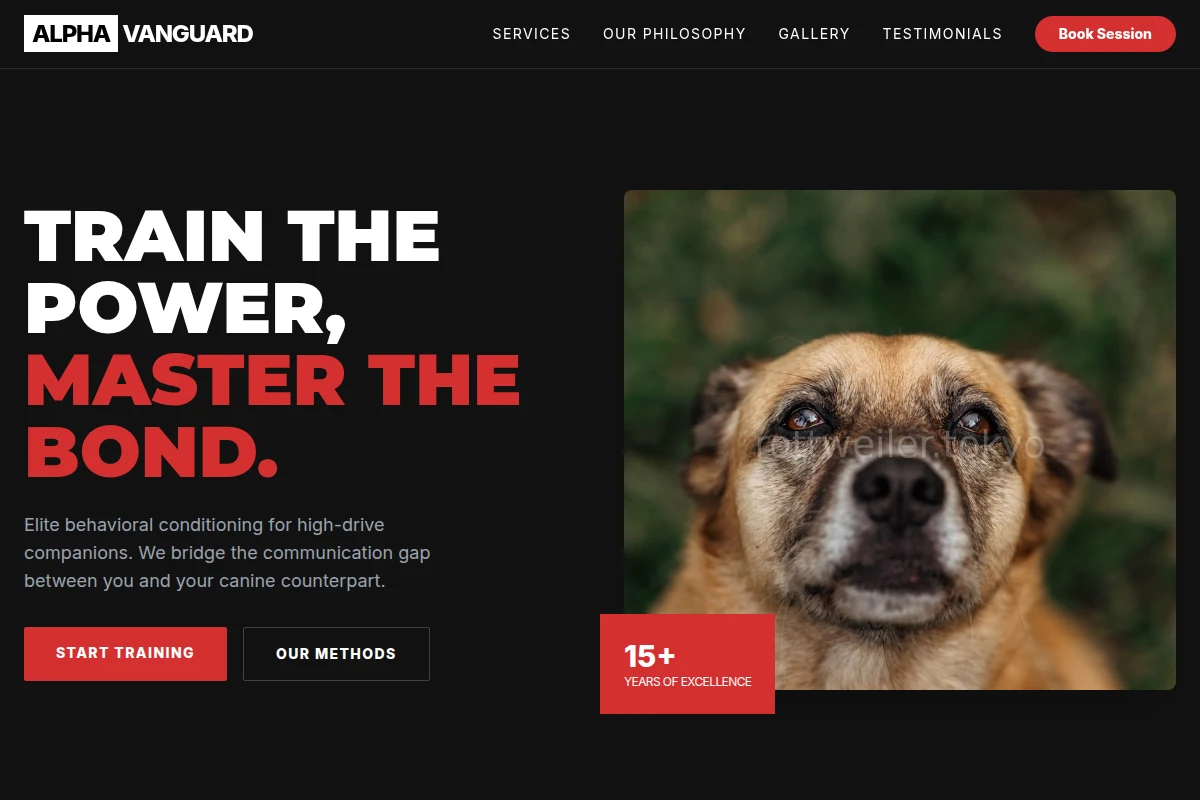 Compact Dog Behavior