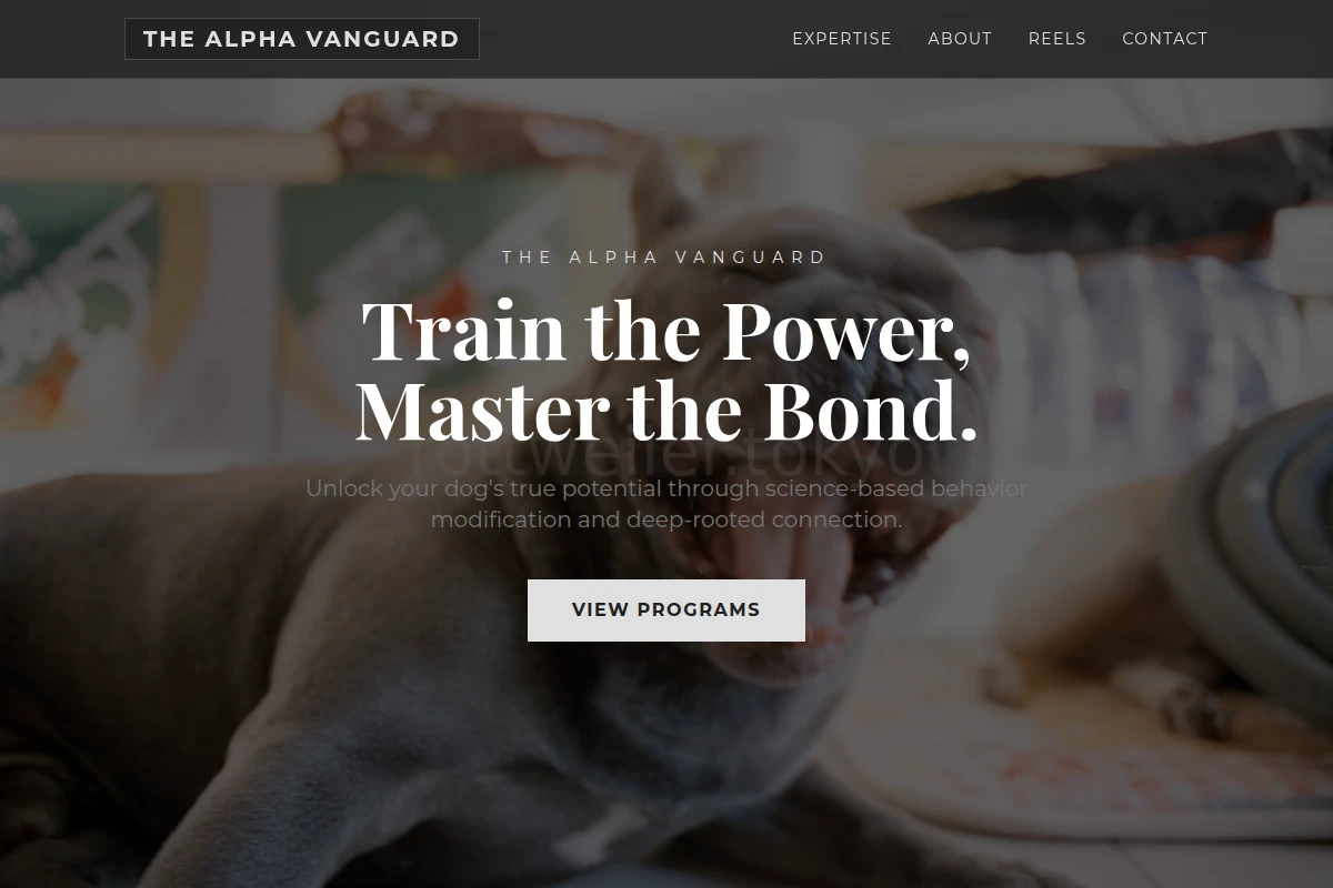 Socialite Dog Behavior