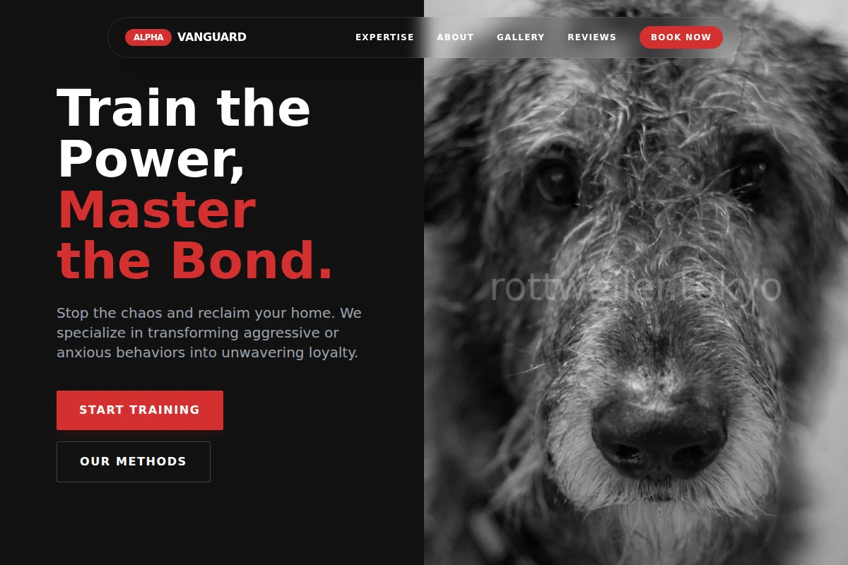 Direct Dog Behavior