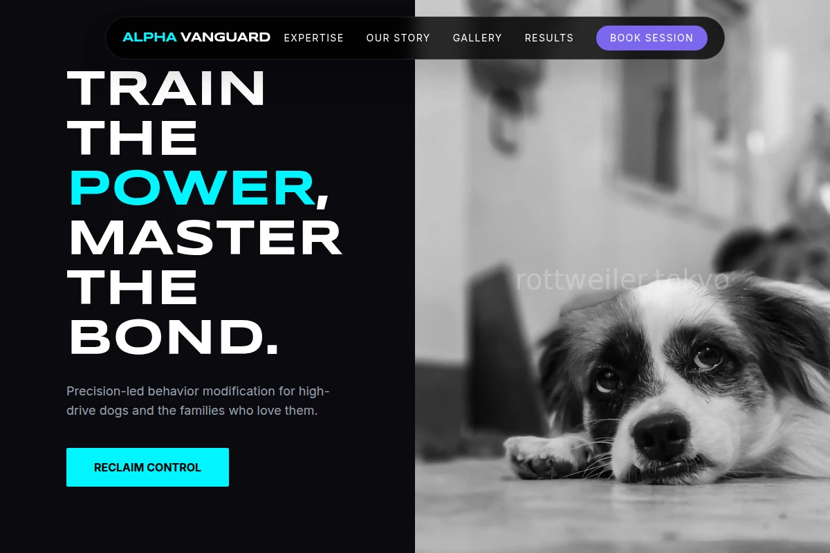 Precision Dog Behavior