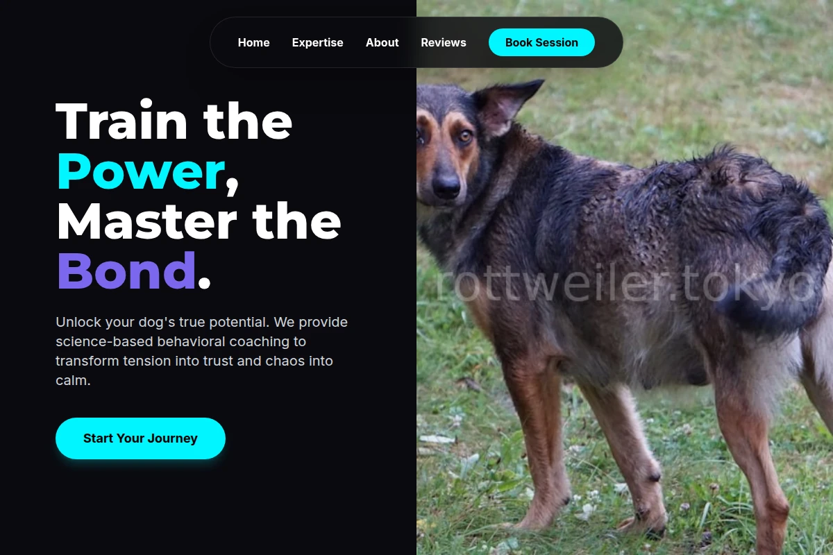 Alpha Dog Behavior