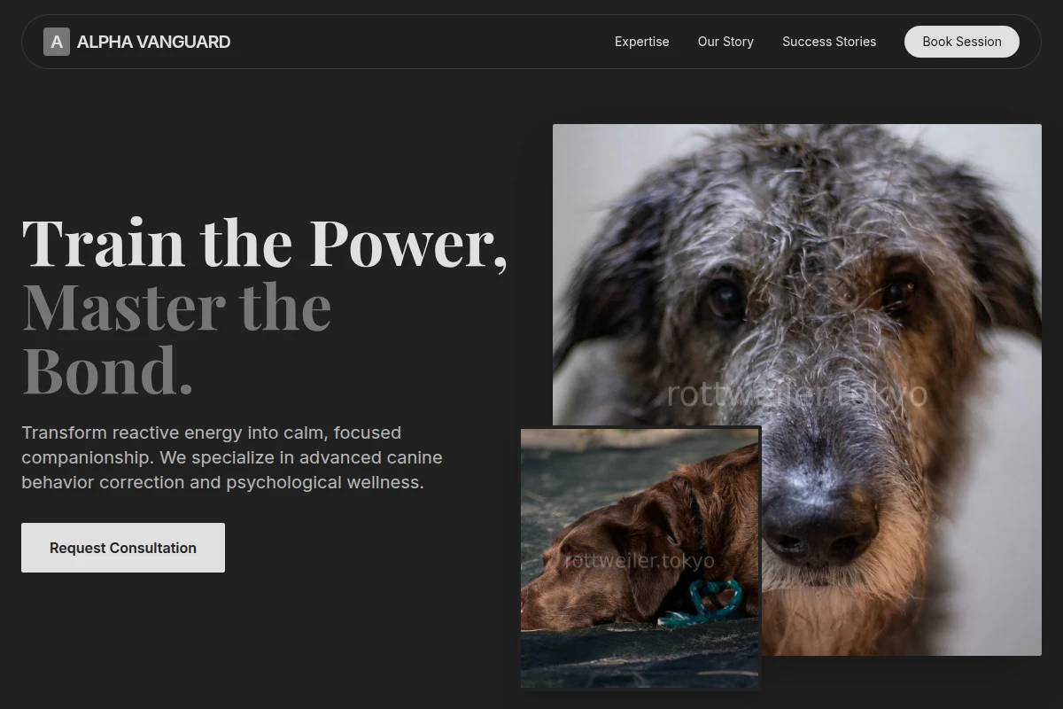 Alpha Dog Behavior