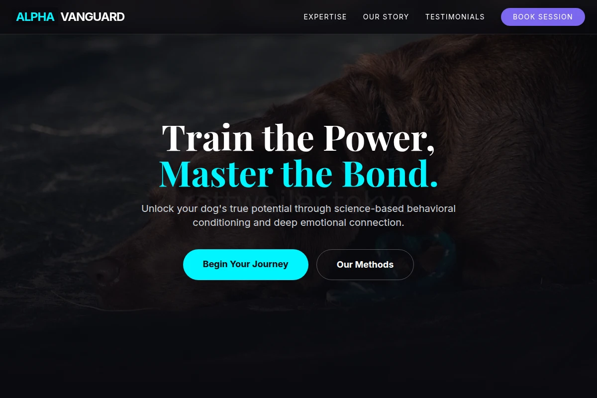 Focus Dog Behavior