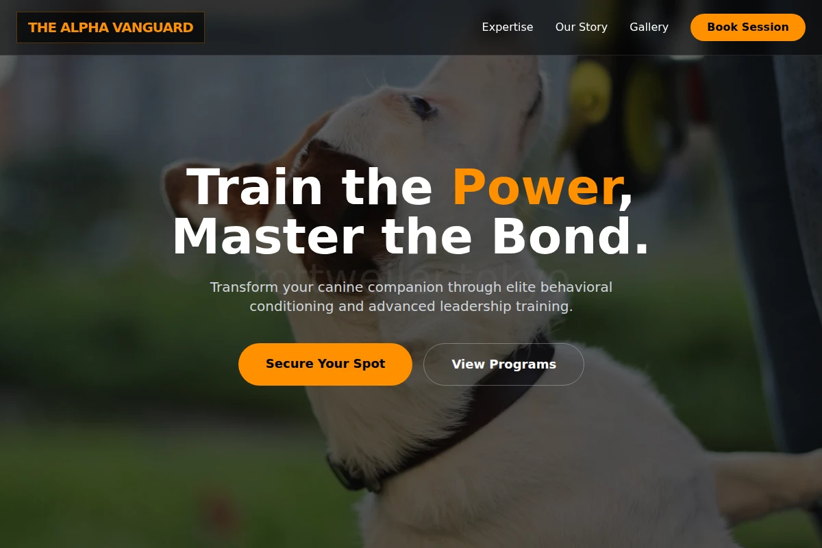 Direct Dog Training