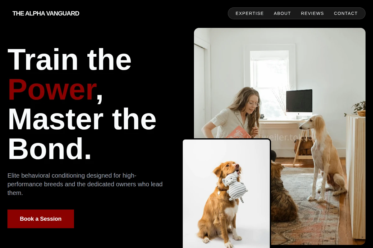 Sleek Dog Training