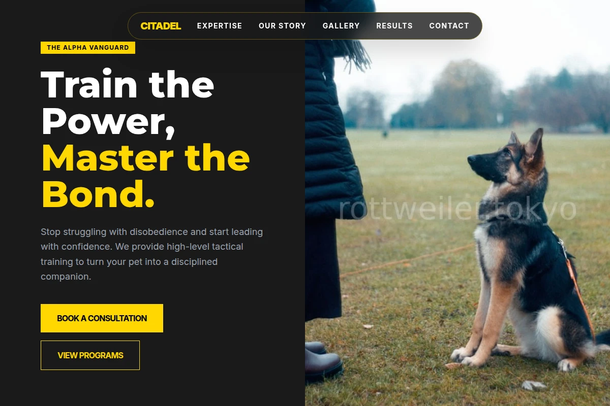 Citadel Dog Training