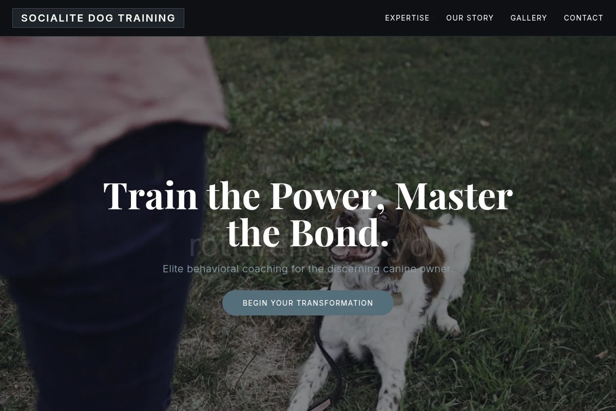 Socialite Dog Training