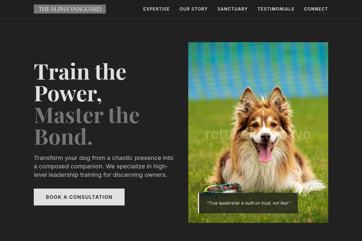 Direct Dog Training