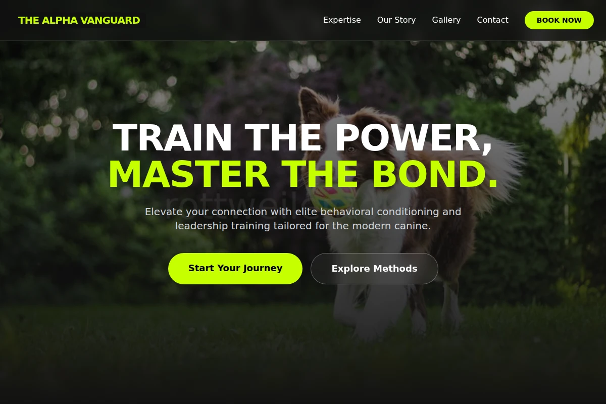 Power Dog Training