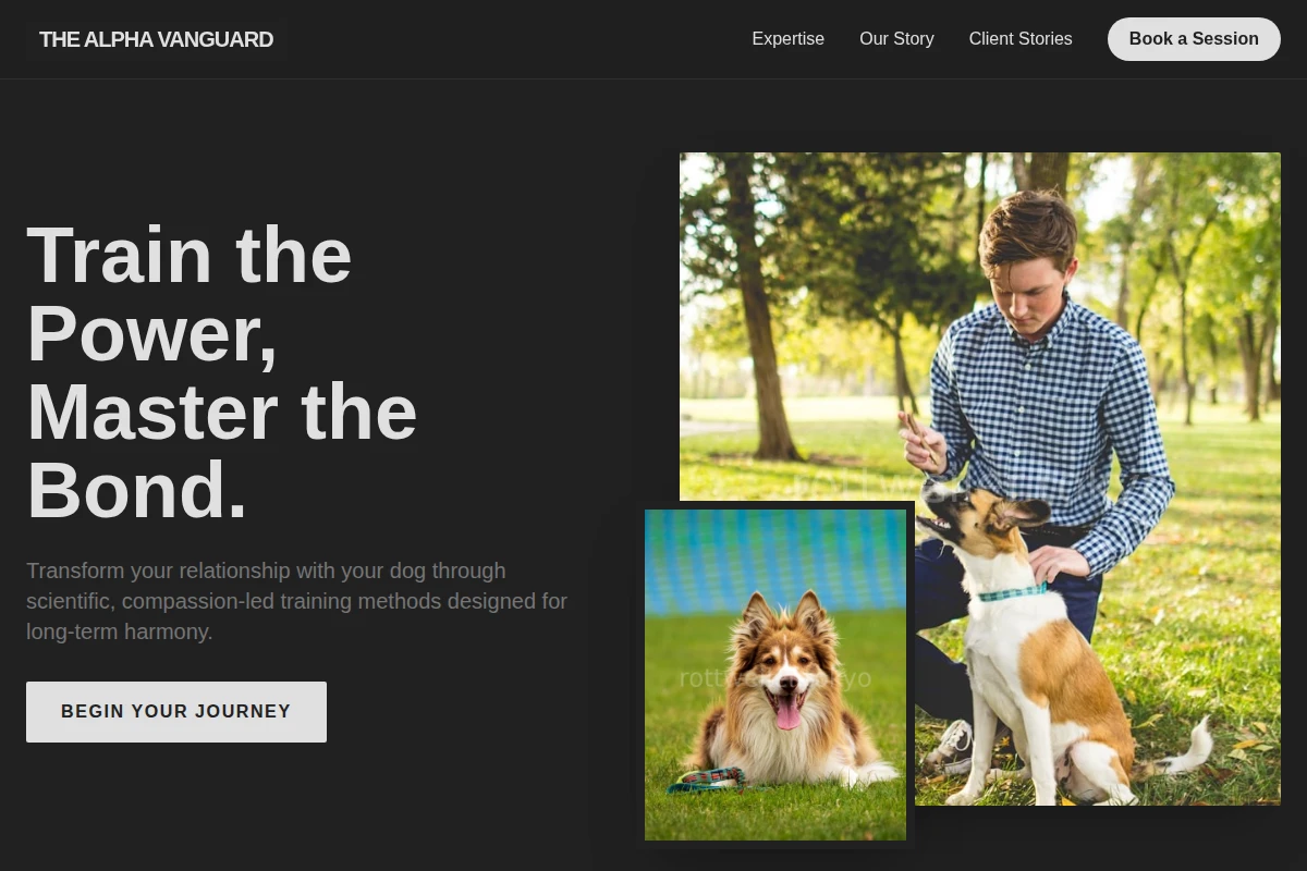 dog-training