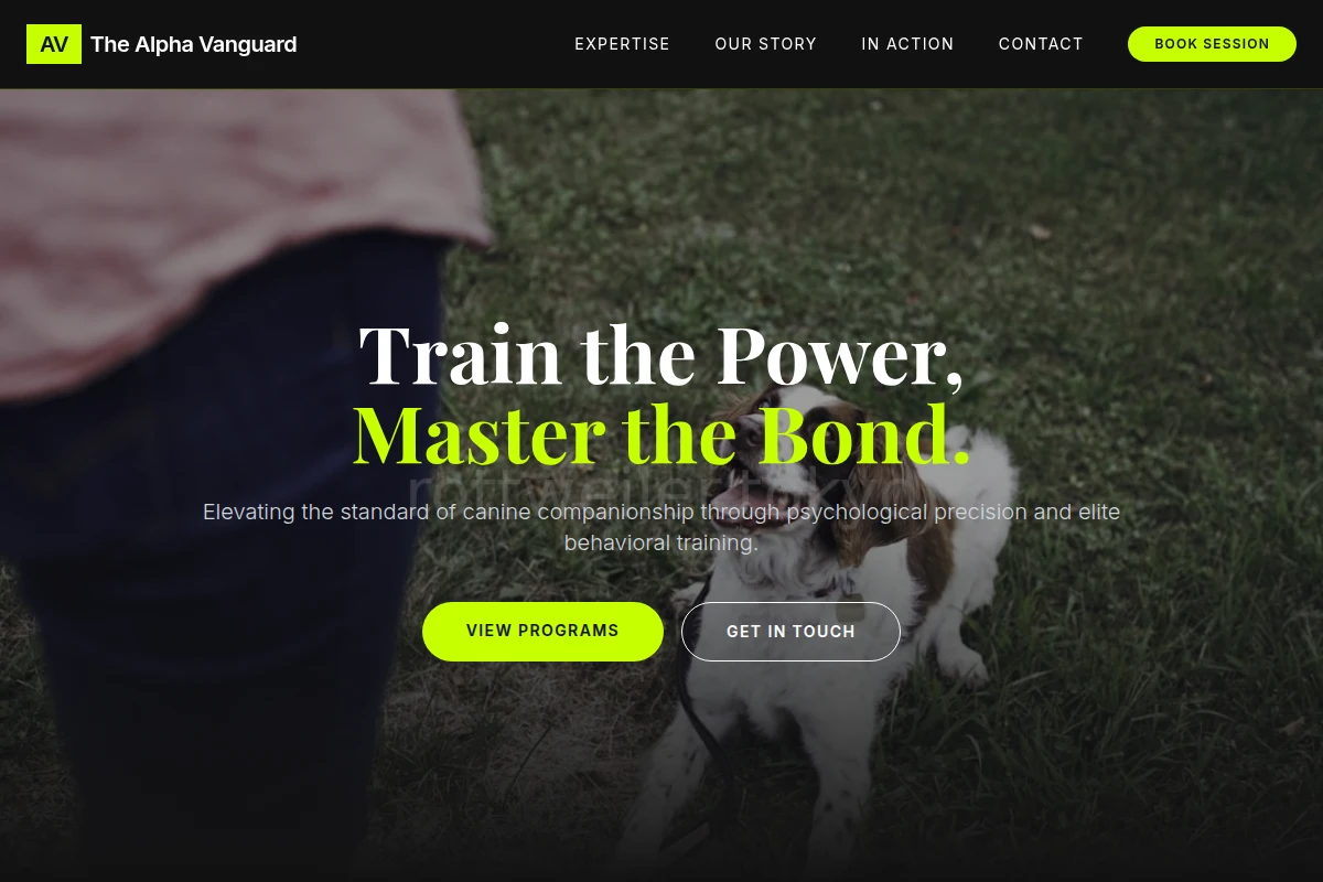 Anchor Dog Training