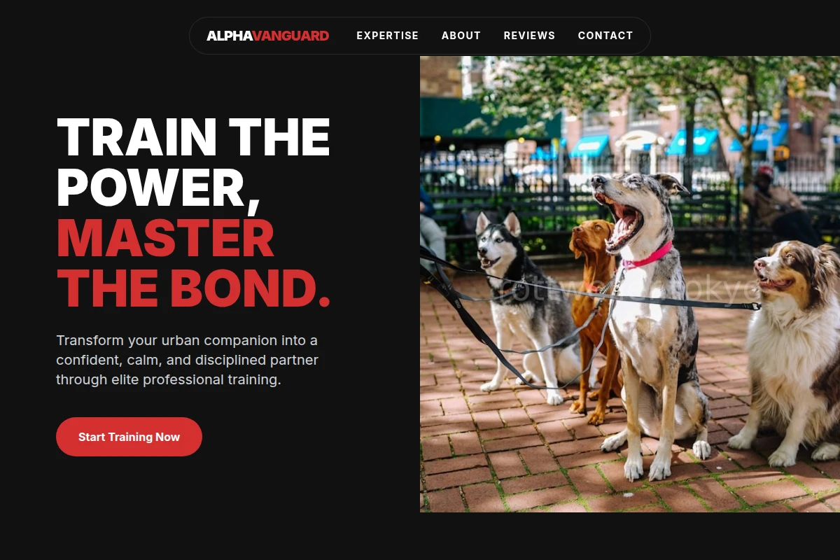 Urban Dog Training