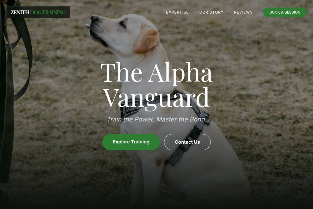 Zenith Dog Training