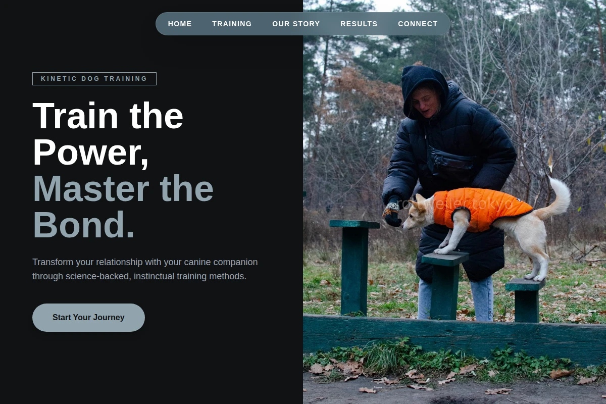 Kinetic Dog Training