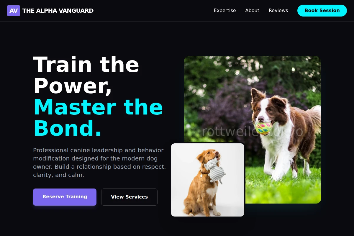 Structure Dog Training
