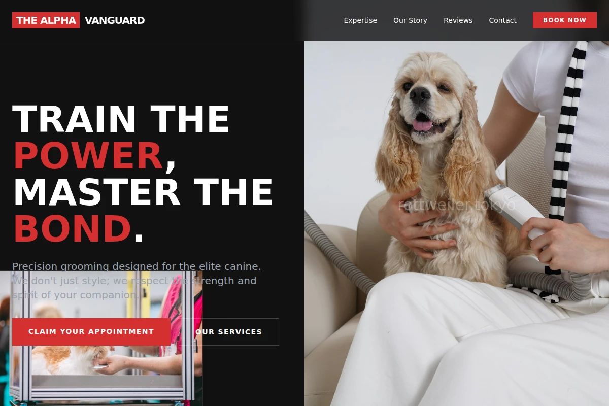 Bold Grooming