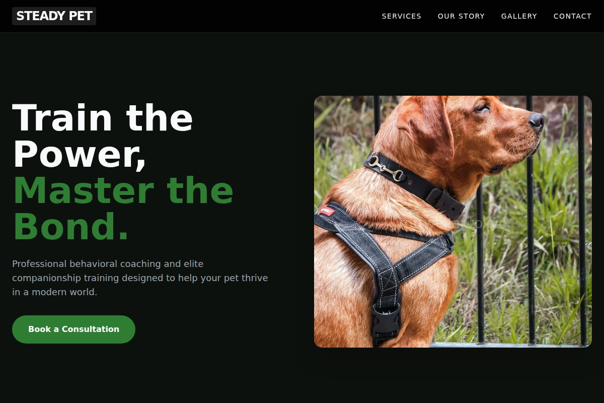 Steady Pet Services