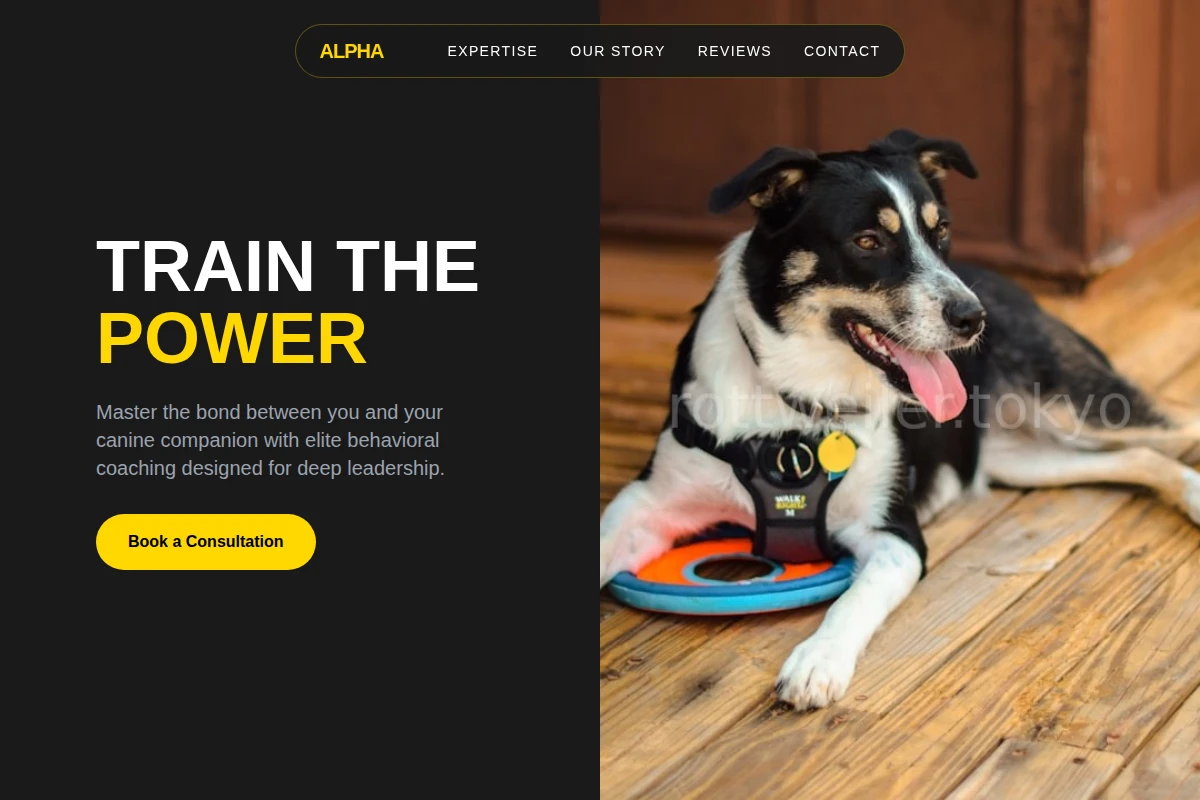 Structure Pet Services