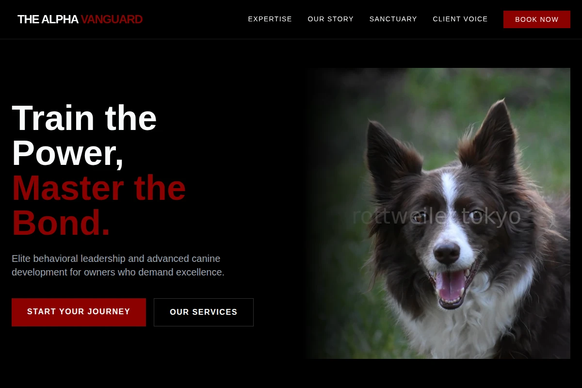 Direct Pet Services