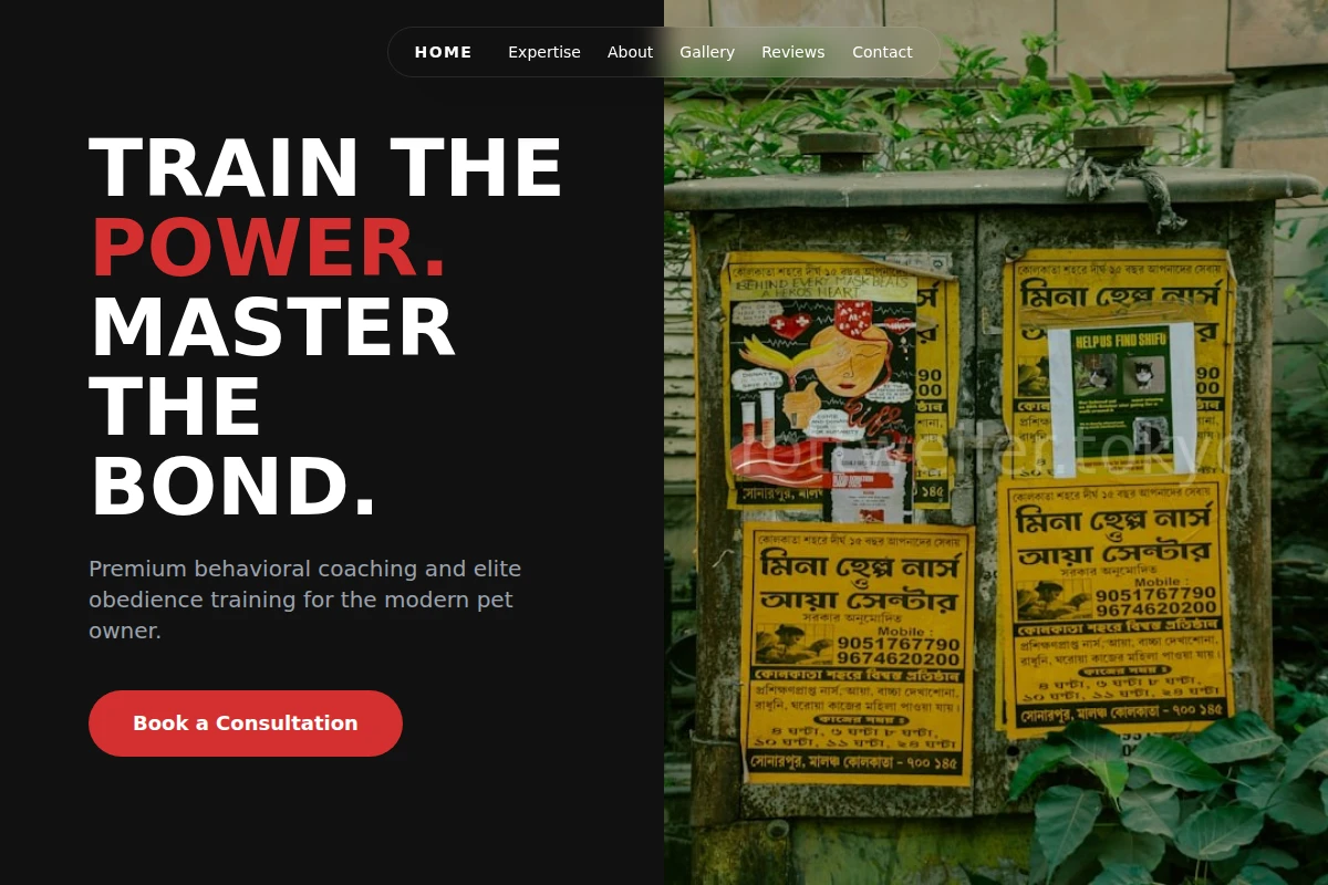 Stability Pet Services