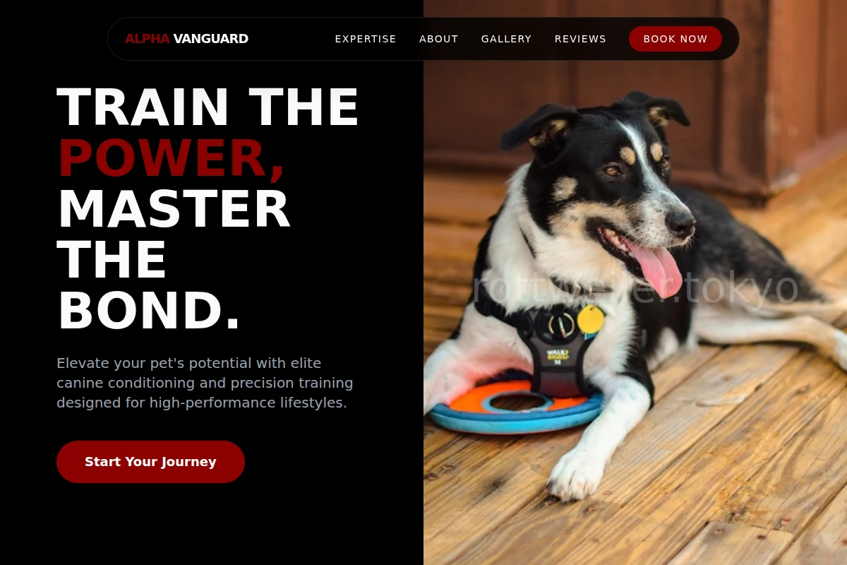 Kinetic Pet Services